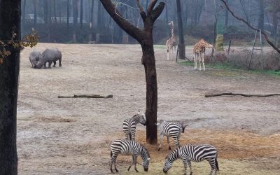 LFS besucht den Burger’s Zoo in Arnheim