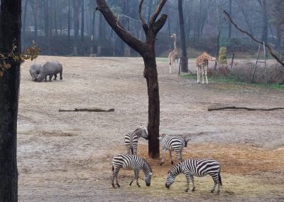 LFS besucht den Burger’s Zoo in Arnheim